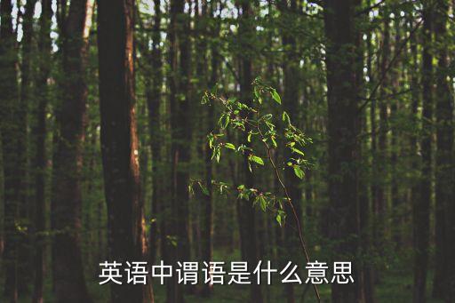 謂語動詞是什么，英語什么叫做謂語和系動詞和表語