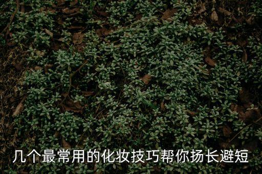 幾個(gè)最常用的化妝技巧幫你揚(yáng)長避短
