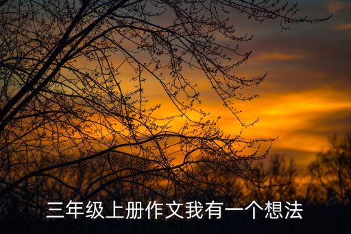我有一個大膽的想法，我有一個新想法作文