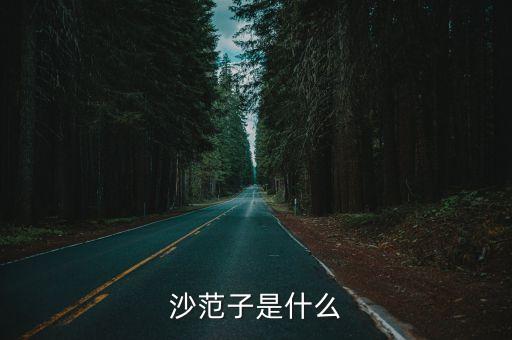 沙范子是什么