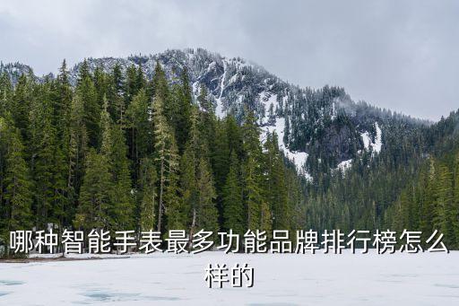智能手表排行，什么牌子的智能兒童手表最好用
