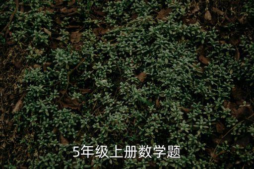 5年級上冊數(shù)學(xué)題