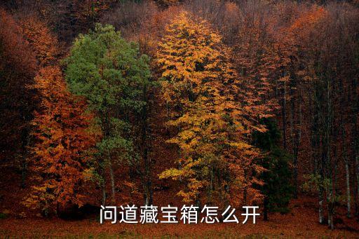 問道藏寶箱怎么開