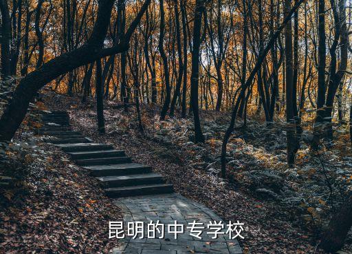 職業中等專業學校，昆明的職業中專有哪些