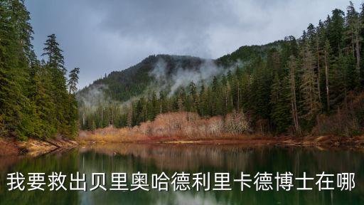 我要救出貝里奧哈德利里卡德博士在哪