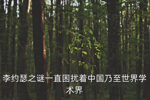 李約瑟之謎一直困擾著中國乃至世界學術界