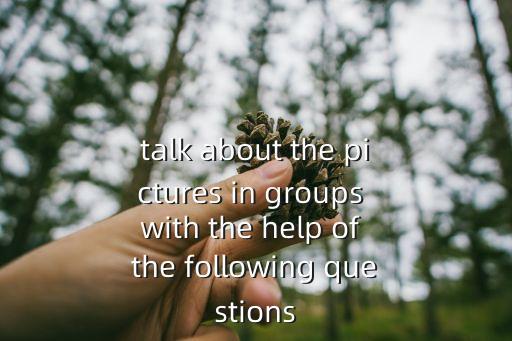 talk about the pictures in groups with the help of the following questions