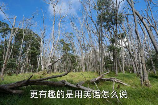 更有趣的英文，更有趣的是用英語(yǔ)怎么說(shuō)