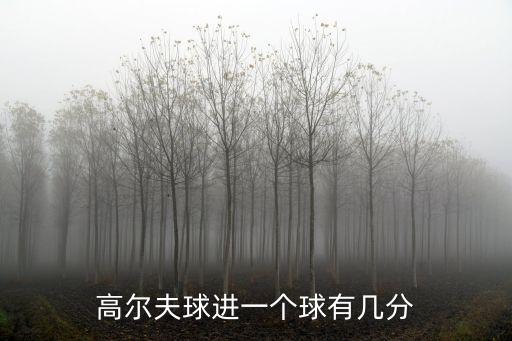 高爾夫球進一個球有幾分