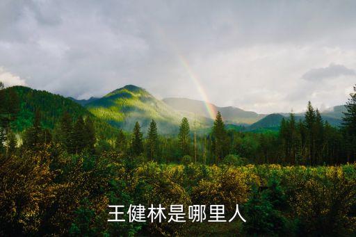 王健林是哪里人