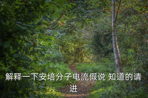 解釋一下安培分子電流假說 知道的請(qǐng)進(jìn)