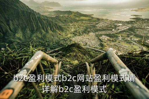 盈利模式怎么寫，分析某個網站的盈利模式2000字以上