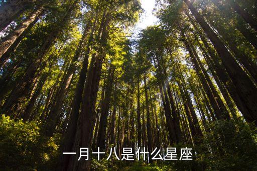 1月18日是什么星座，1月18是什么星座