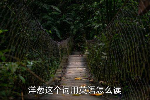 洋蔥這個詞用英語怎么讀
