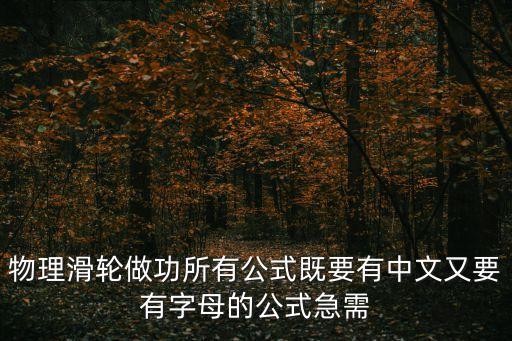滑輪公式，物理滑輪做功所有公式既要有中文又要有字母的公式急需