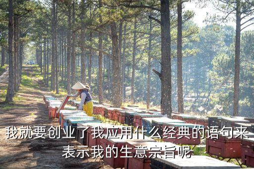創業文案，求一份大學生創業方案范文