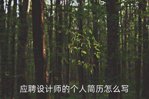 應聘設計師的個人簡歷怎么寫