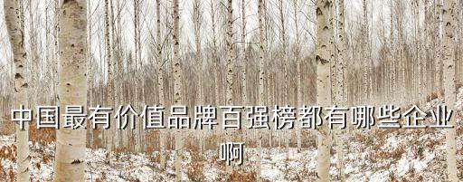 品牌價值排行榜，中國最有價值品牌百強榜都有哪些企業啊
