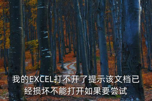 我的EXCEL打不開了提示該文檔已經(jīng)損壞不能打開如果要嘗試