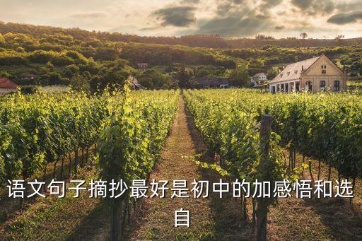 語文摘抄優(yōu)美句子，語文句子摘抄最好是初中的加感悟和選自