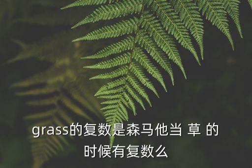 grass的復數(shù)是森馬他當 草 的時候有復數(shù)么