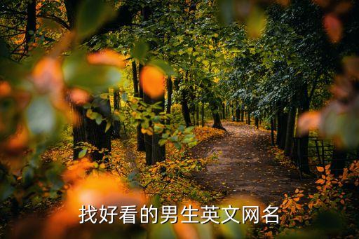 男生英文網(wǎng)名，求男生英文網(wǎng)名
