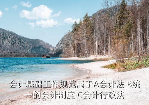 會計基礎(chǔ)工作規(guī)范，會計基礎(chǔ)工作規(guī)范都有哪些內(nèi)容多啊