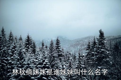 林秋楠的女朋友，林志穎的女友