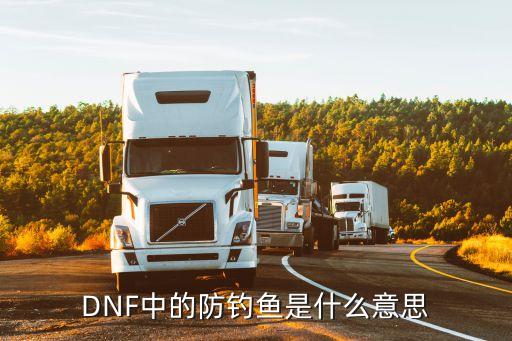 DNF中的防釣魚是什么意思