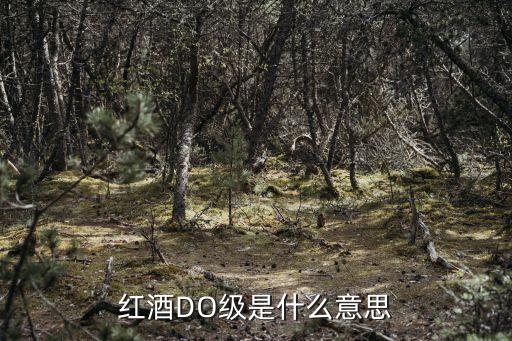 葡萄酒等級，真正的葡萄酒分幾等呢價值又如何呢
