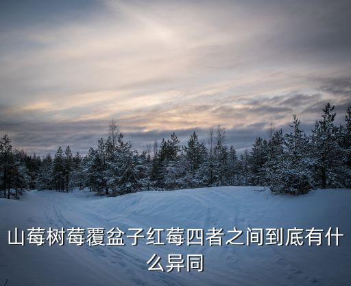 紅莓，紅莓和草莓一樣嗎