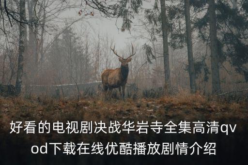 好看的電視劇決戰(zhàn)華巖寺全集高清qvod下載在線優(yōu)酷播放劇情介紹