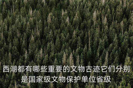 西湖都有哪些重要的文物古跡它們分別是國家級文物保護單位省級