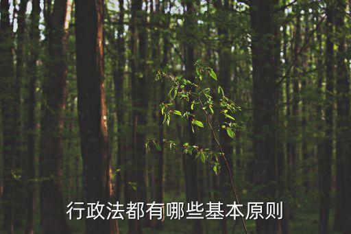 依法行政原則，行政法都有哪些基本原則