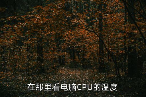 cpu溫度在哪看，cpu的溫度在哪里看