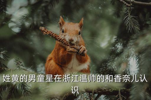 黃姓明星，中國(guó)有多少姓黃的明星啊演員 導(dǎo)演 歌星 主持人 等 等全把名字發(fā)一