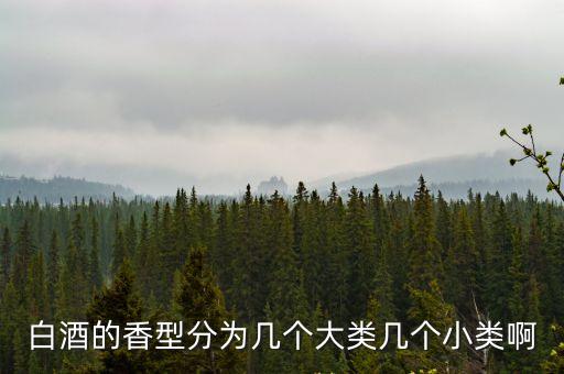 白酒的香型分為幾個大類幾個小類啊