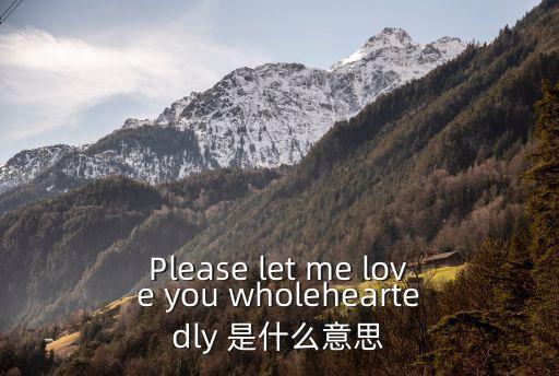 wholeheartedly，Wholeheartedly是什么意思