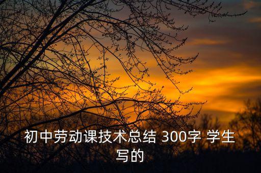 初中勞動課技術總結 300字 學生寫的