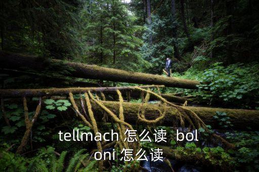 boloni，tellmach 怎么讀  boloni 怎么讀