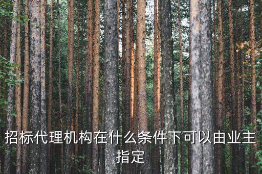 委托招標，甲方委托招投標公司進行對外招標甲方和招投標代理公司接下來的工