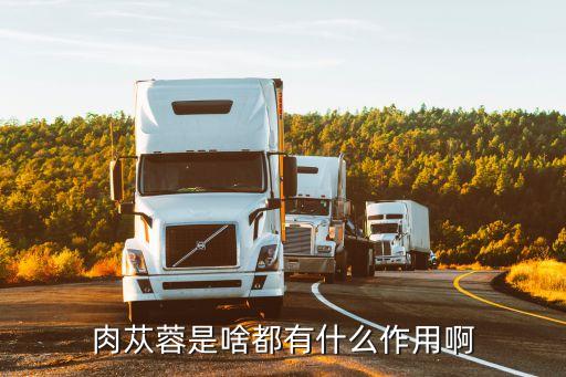 肉蓯蓉壯陽，肉蓯蓉是啥都有什么作用啊