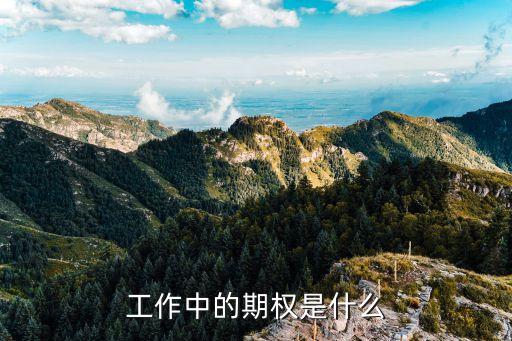 員工期權，公司給員工的期權是什么意思