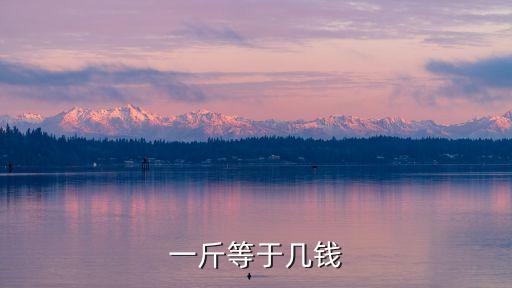 一斤等于多少錢，1斤等于多少錢