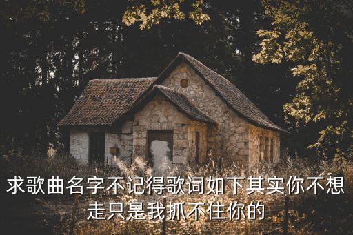 其實不想走歌詞，其是不想走是什么歌