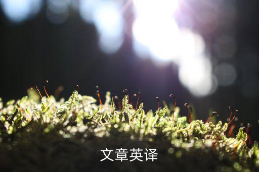 文章英譯