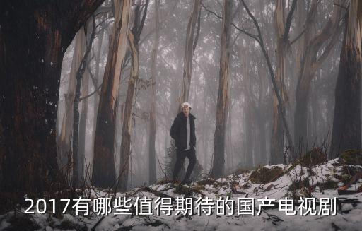 2017有哪些值得期待的國(guó)產(chǎn)電視劇