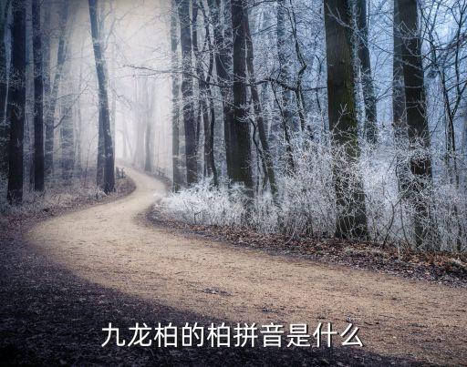 九龍柏，天壇公園最有名的樹叫什么多大歲數(shù)了