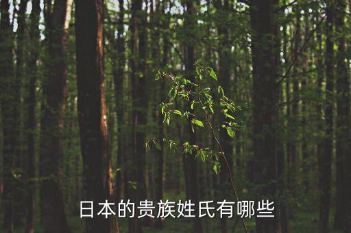日本的貴族姓氏有哪些