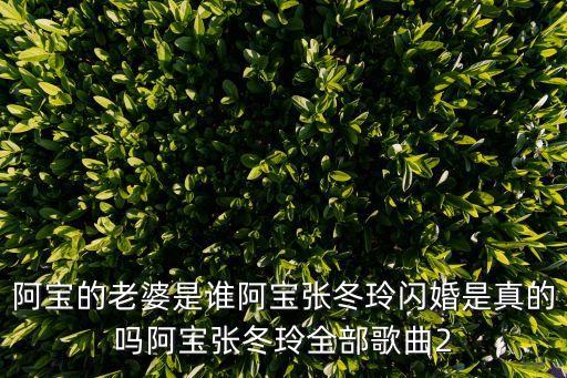 張冬玲的歌曲，你好 我要找 冷漠 張冬玲 唱的我在紅塵中遇見你的歌曲鏈接 拜托了